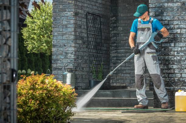 Best Solar Panel Cleaning  in El Paso De Robles, CA