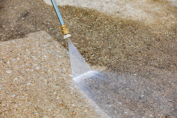 Best Animal Enclosure Cleaning  in El Paso De Robles, CA