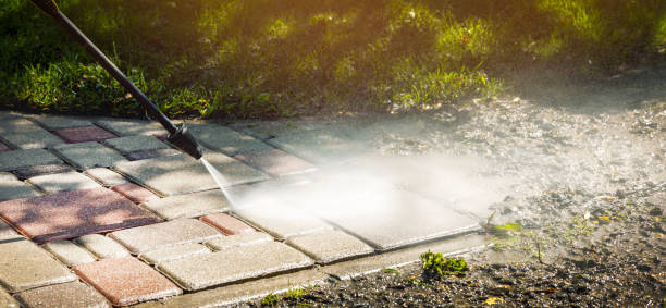 Best Driveway Pressure Washing  in El Paso De Robles, CA